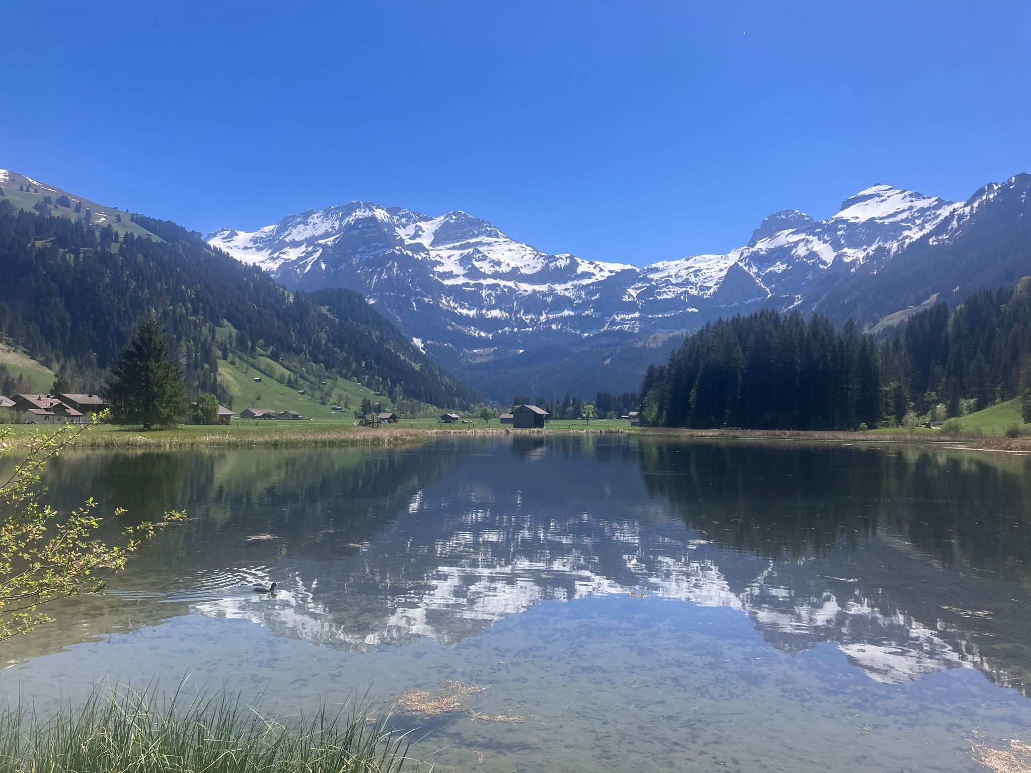Lenk i. Simmental